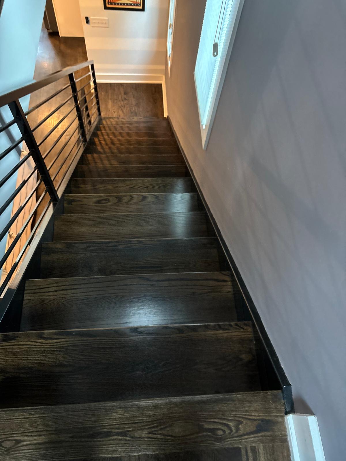 Professional House Cleaning